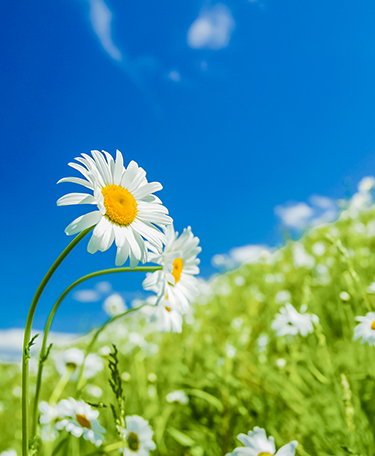 えがわ医療的ケア在宅クリニック・東姫路周辺エリア